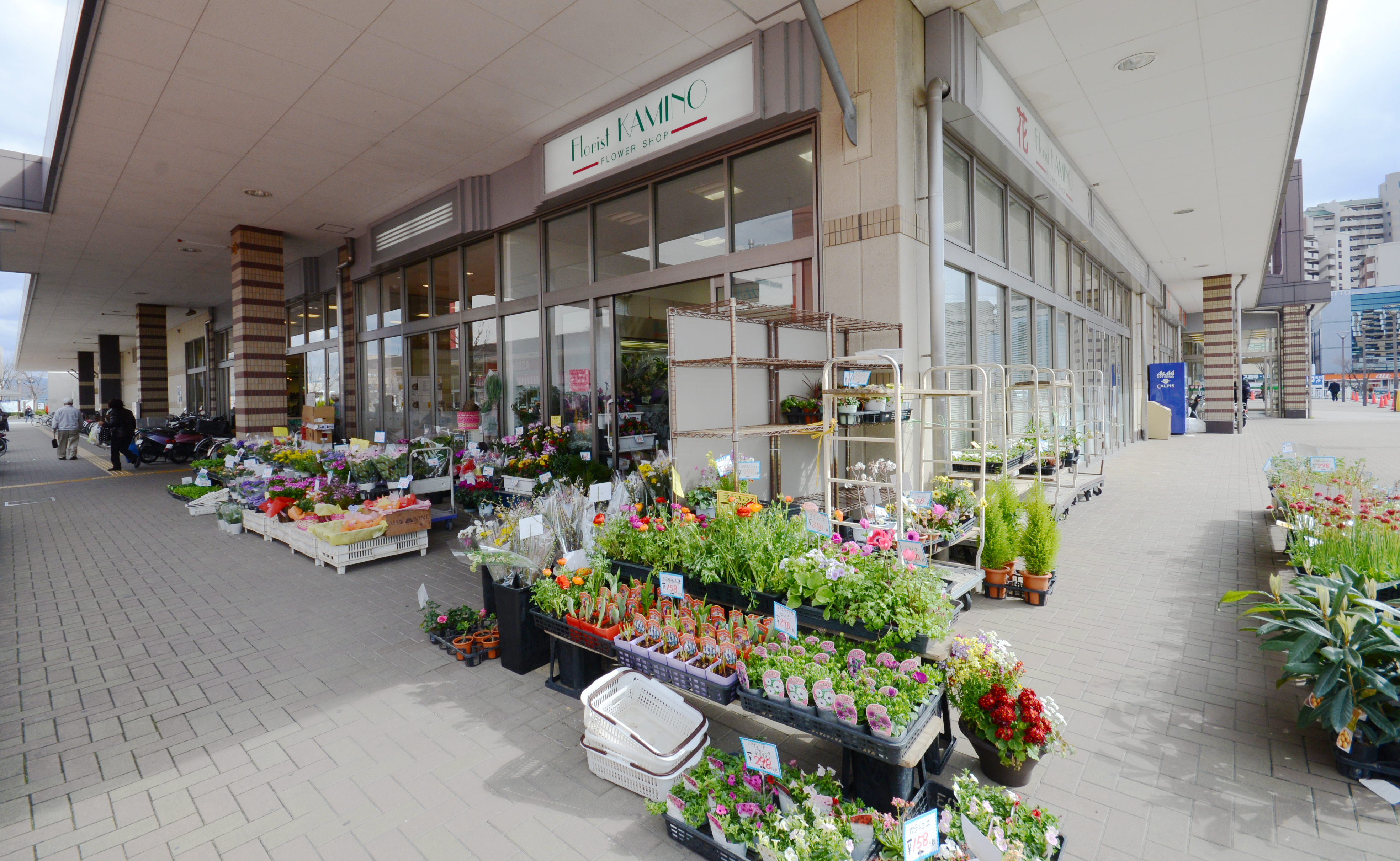 生花 園芸 フローリスト カミノ 京阪東ローズタウン Jr松井山手駅