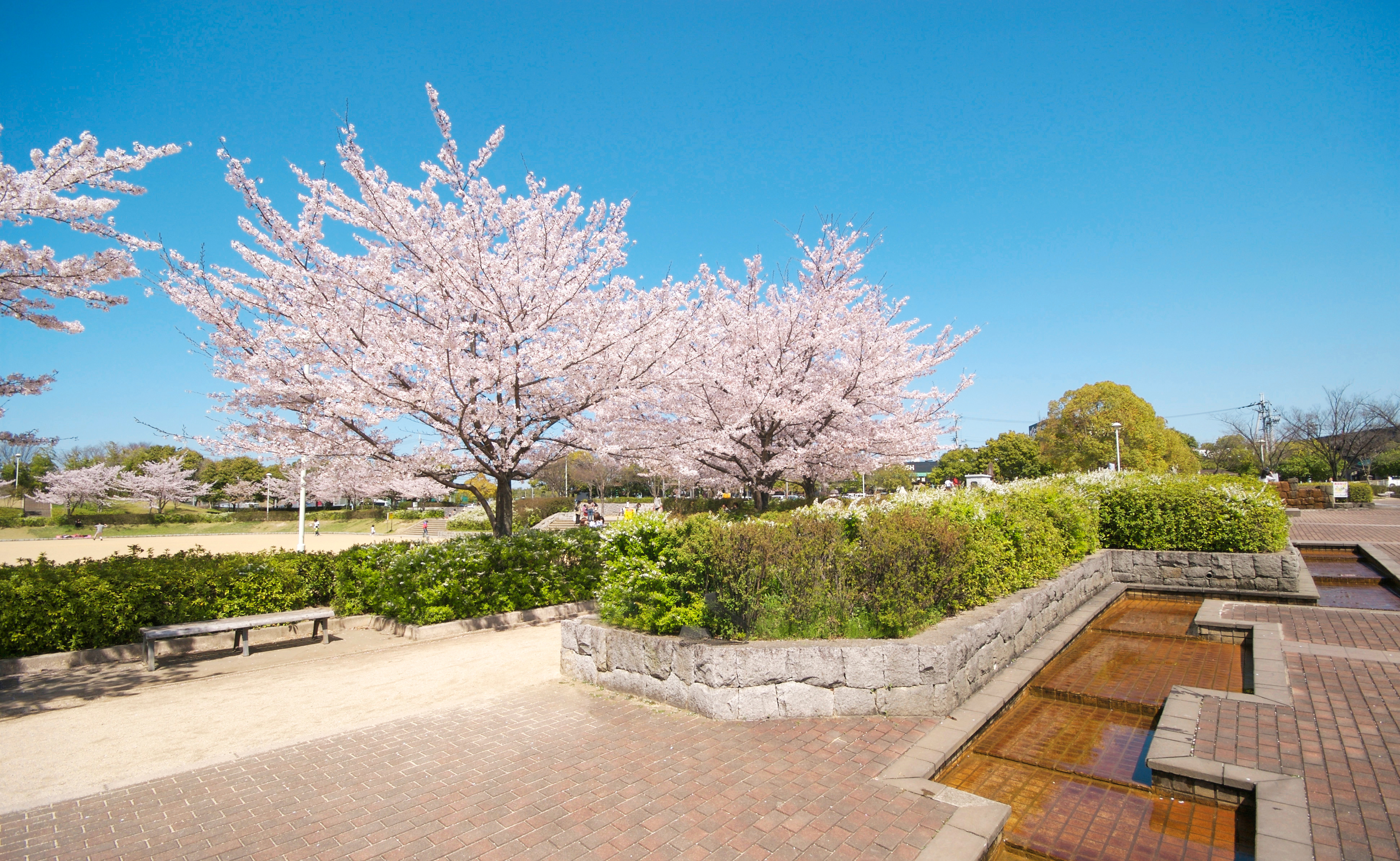 きんめい近隣公園 京阪東ローズタウン Jr松井山手駅